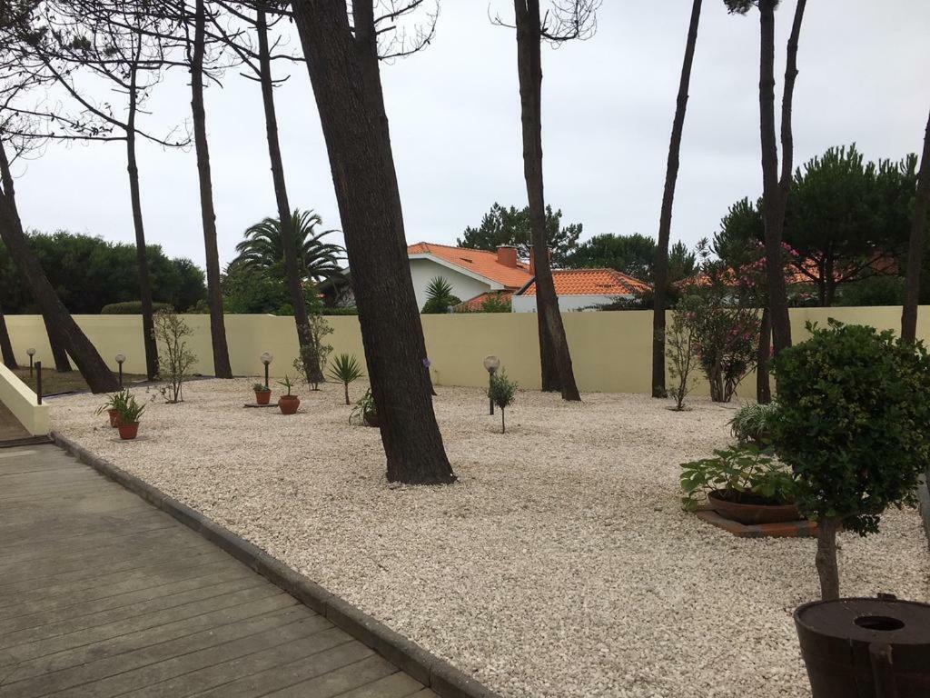 Casa Da Malta- So Para Familias Esmoriz Ngoại thất bức ảnh